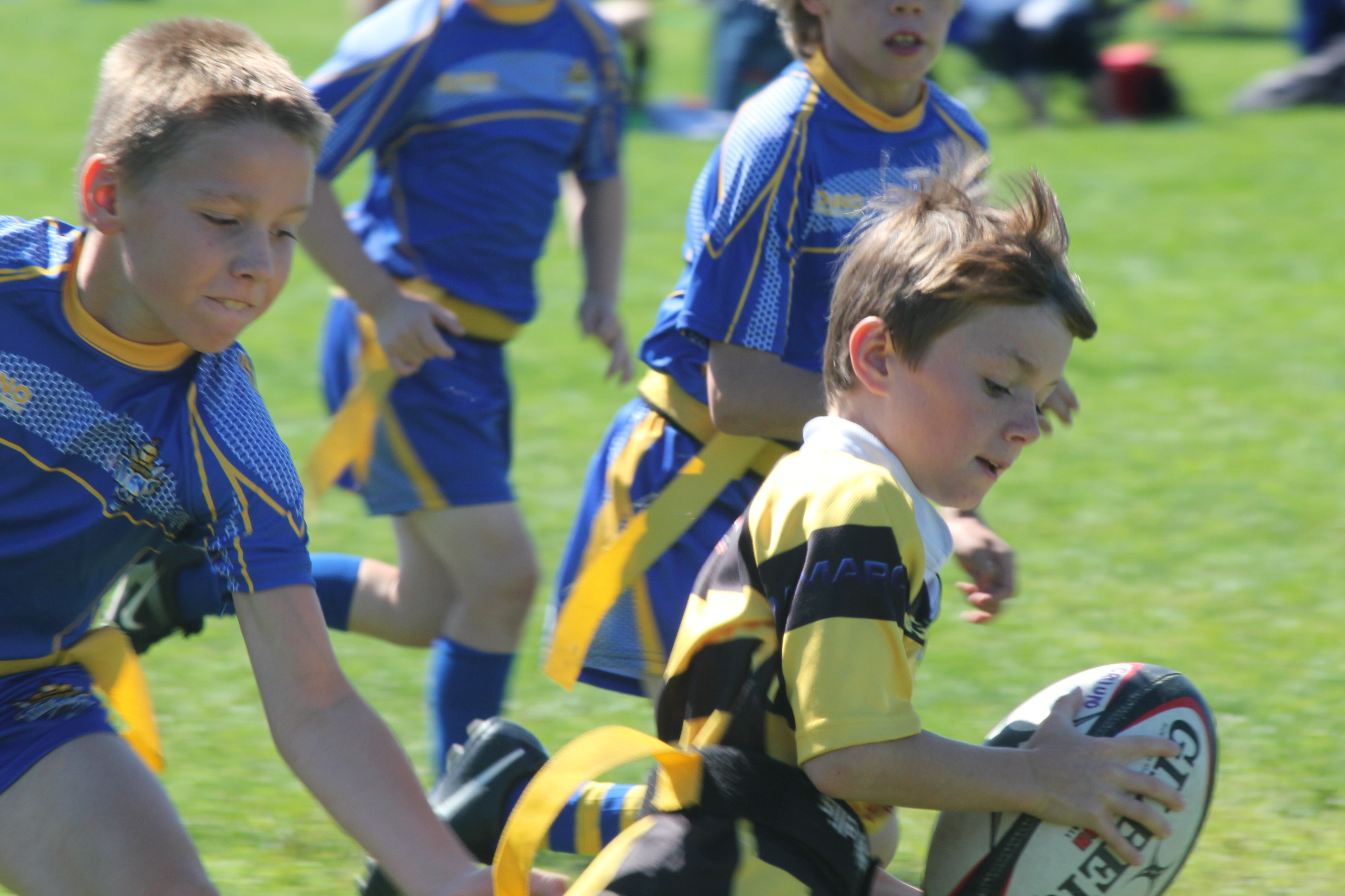 Toronto Rugby Looking for Rookie Rugby Educators Toronto Rugby Looking for Rookie Rugby Educators